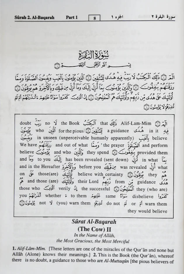 The Noble Quran Word-for-Word (3 Vols)