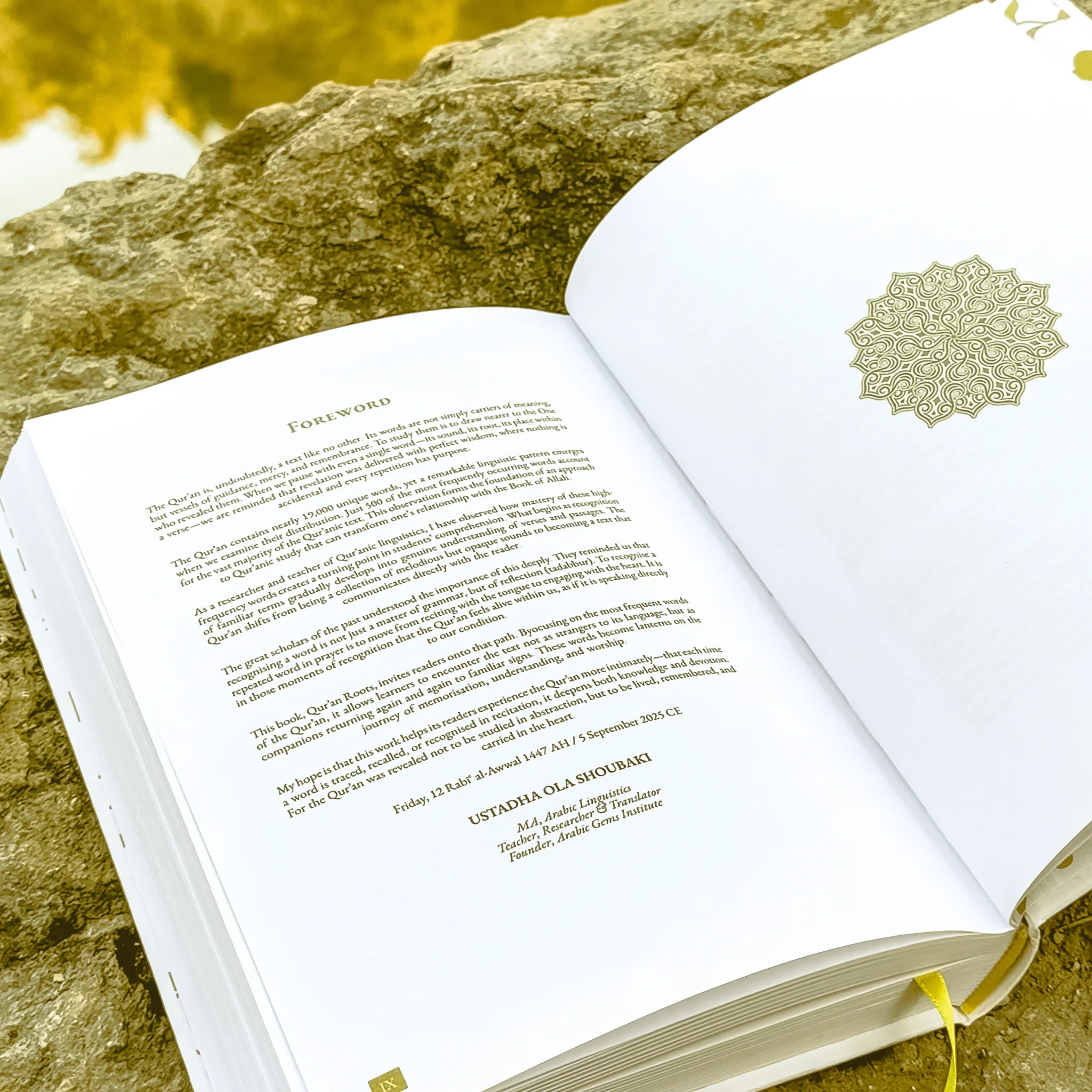 Quran Roots: Top 500 Quranic Words & Vocabulary Journal (Mastery Edition)