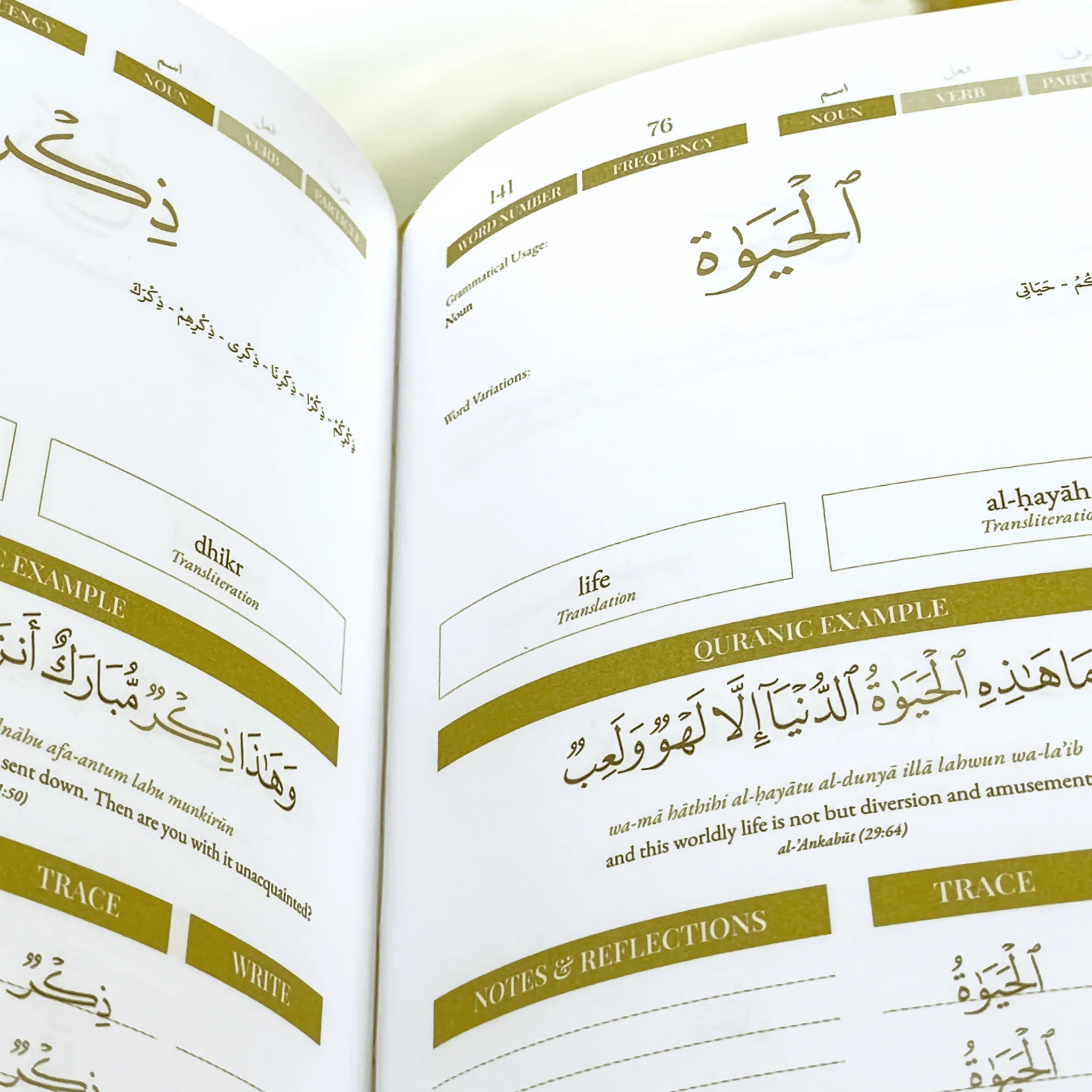 Quran Roots: Top 500 Quranic Words & Vocabulary Journal (Mastery Edition)