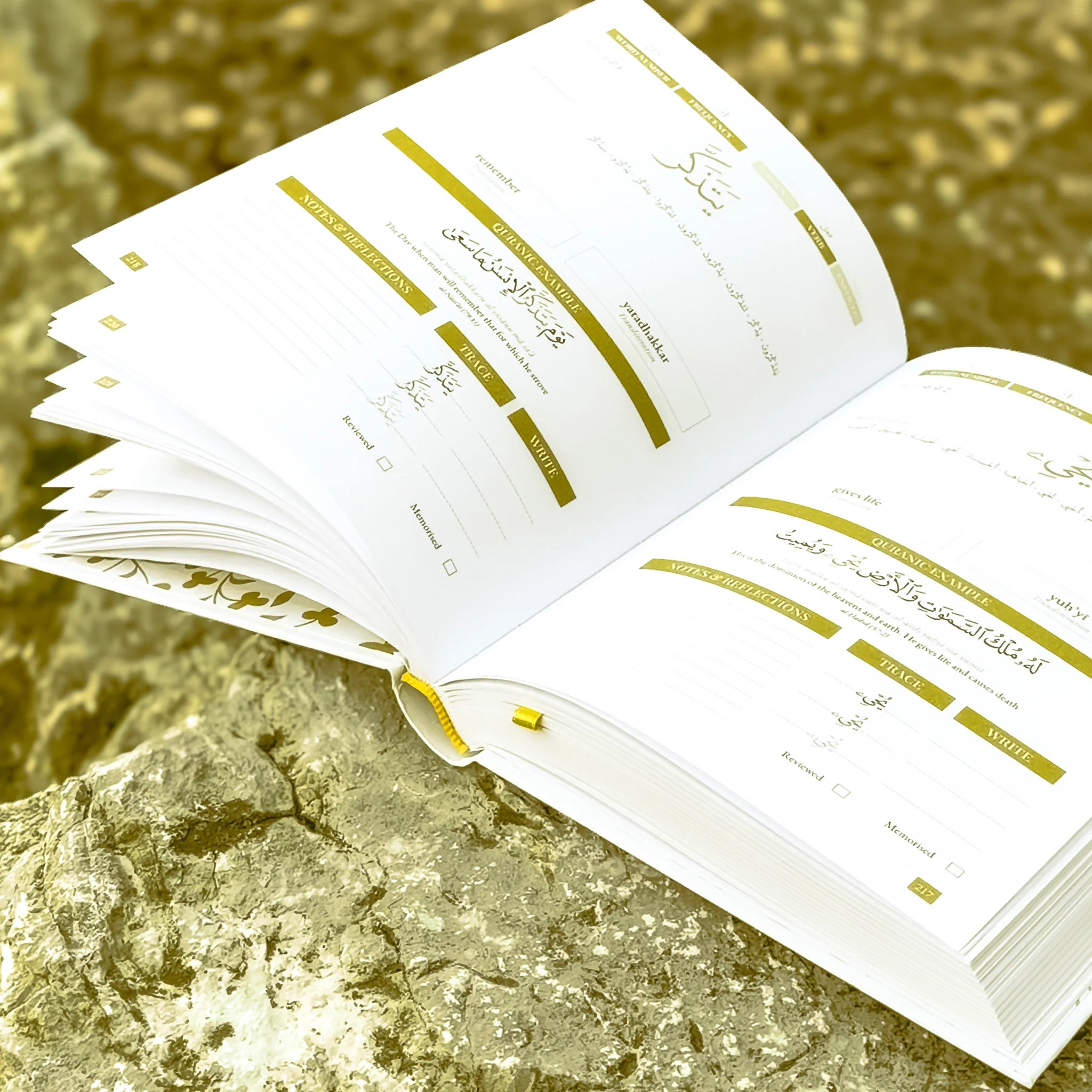Quran Roots: Top 500 Quranic Words & Vocabulary Journal (Mastery Edition)