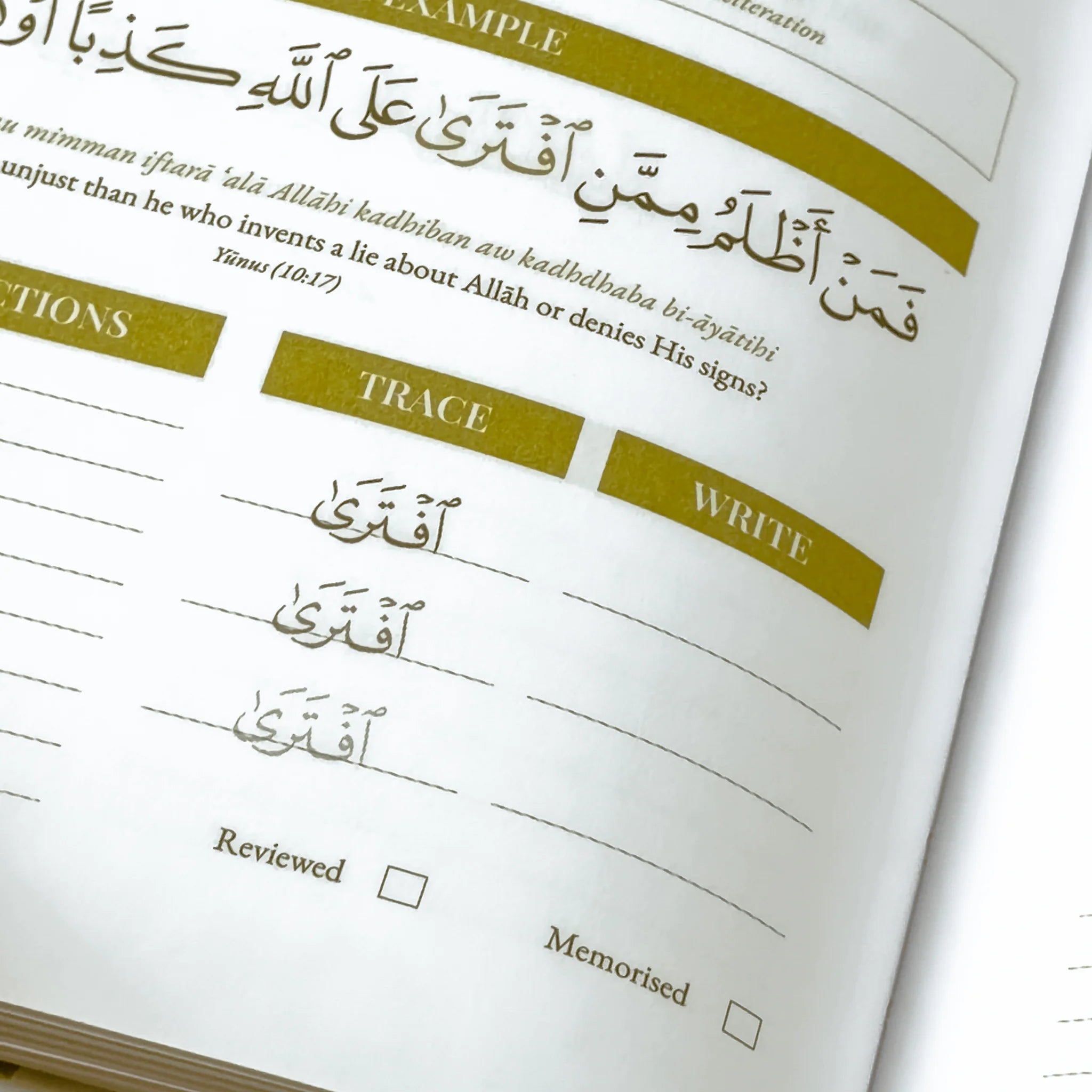 Quran Roots: Top 500 Quranic Words & Vocabulary Journal (Mastery Edition)