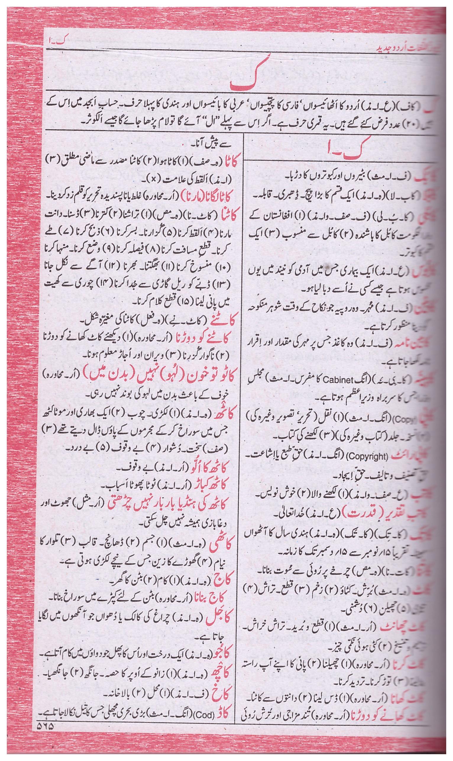 Rangeen Firoz-ul-Lughat Urdu Jadeed Med.