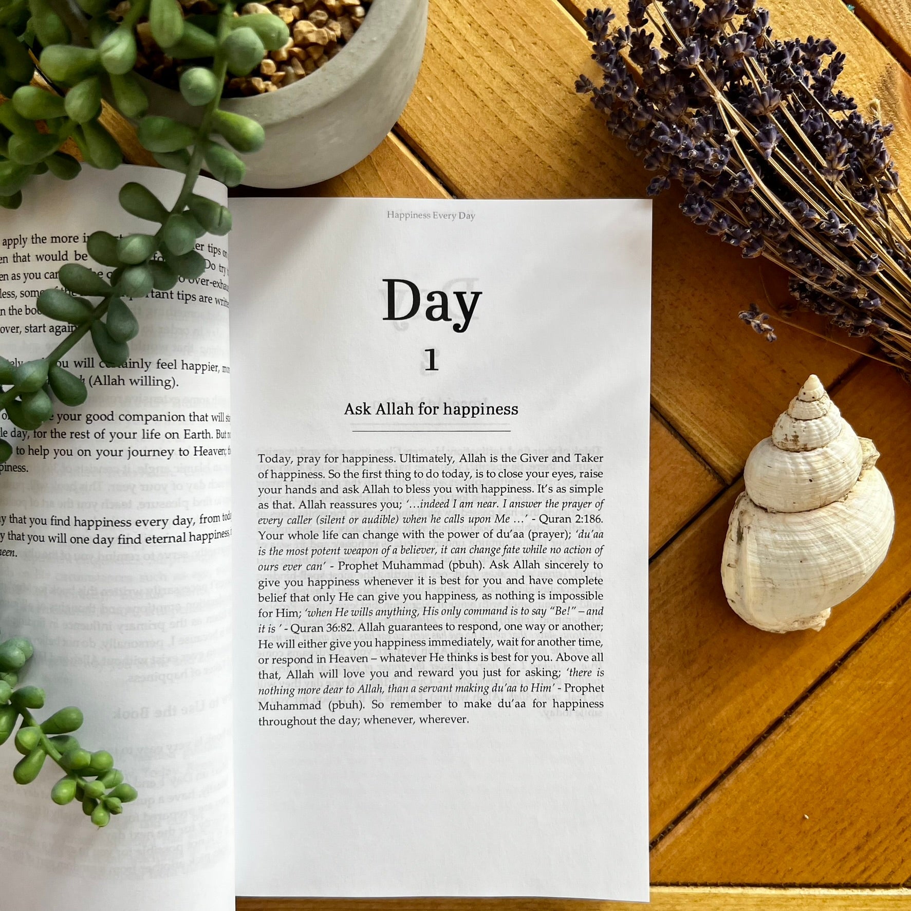 Happiness Every Day image 5
