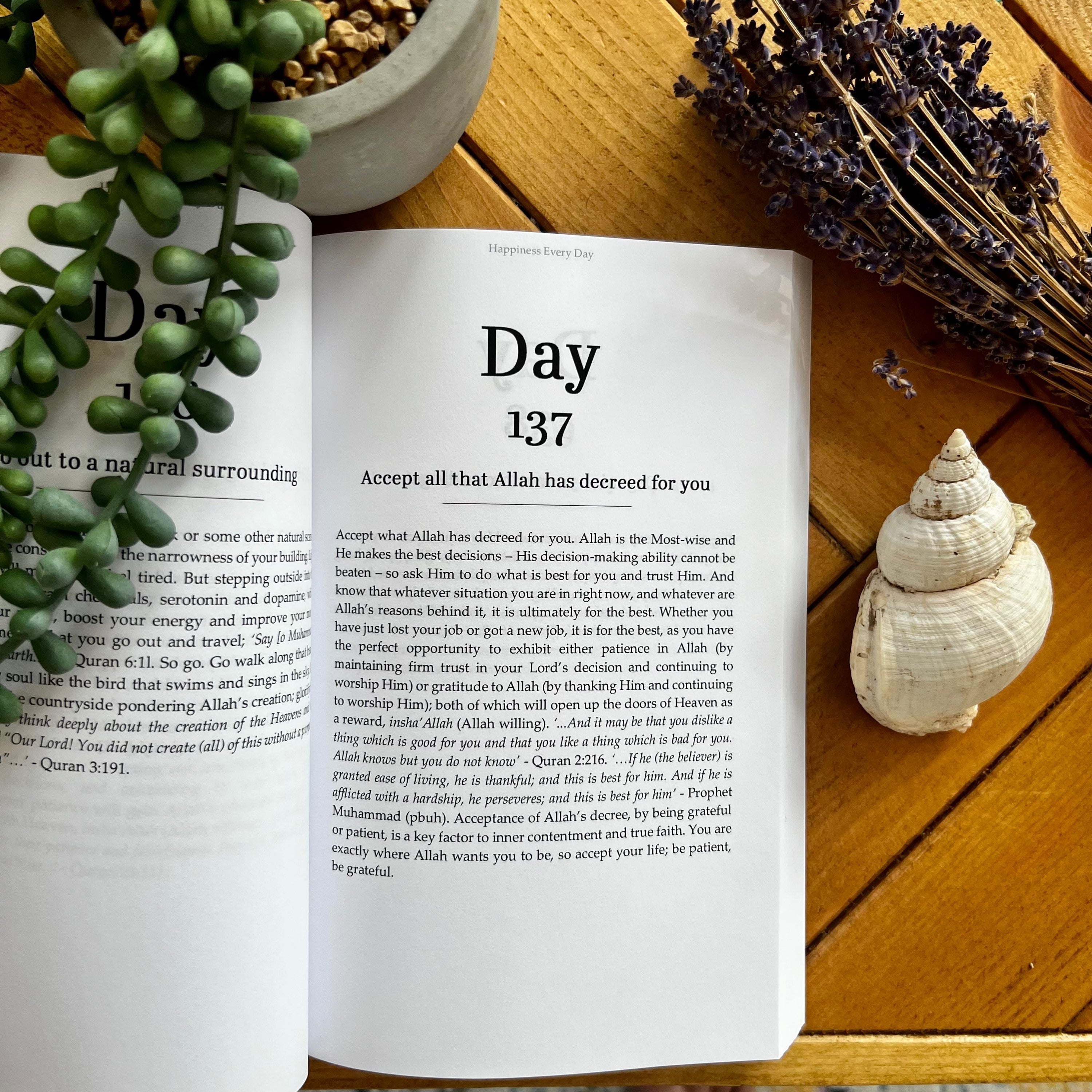 Happiness Every Day image 2
