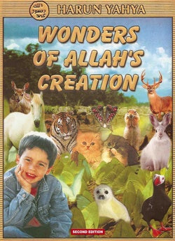 Wonders of Allah's Creation