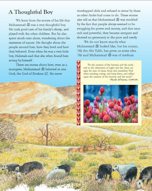 Tell Me About the Prophet Muhammed (SaW)