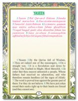 Surah Yaseen (Arabic/English/Transliteration) Pocket size