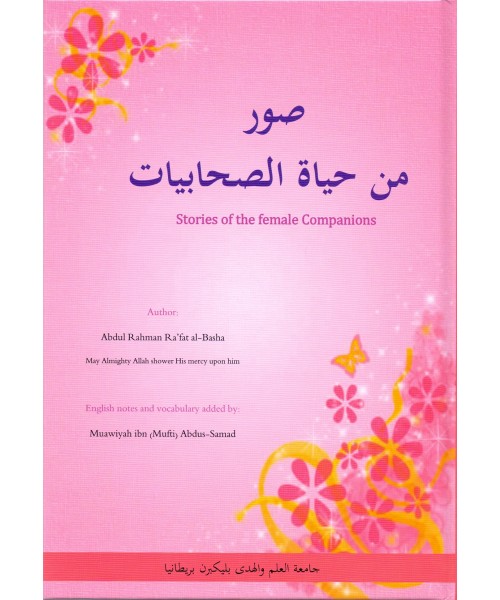 Stories of the female companions