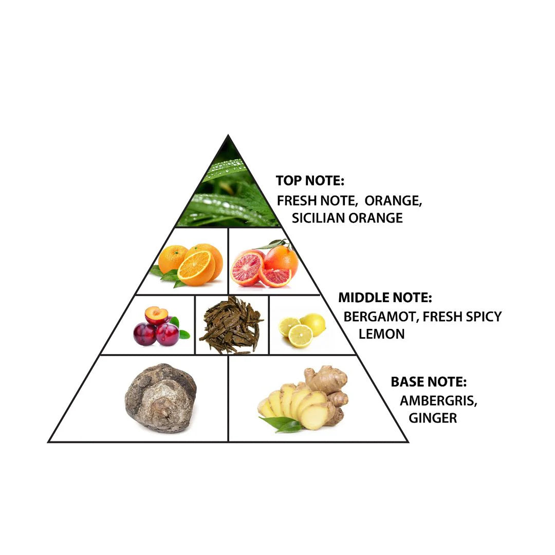 Belle Swim Eau de Parfum 75ml