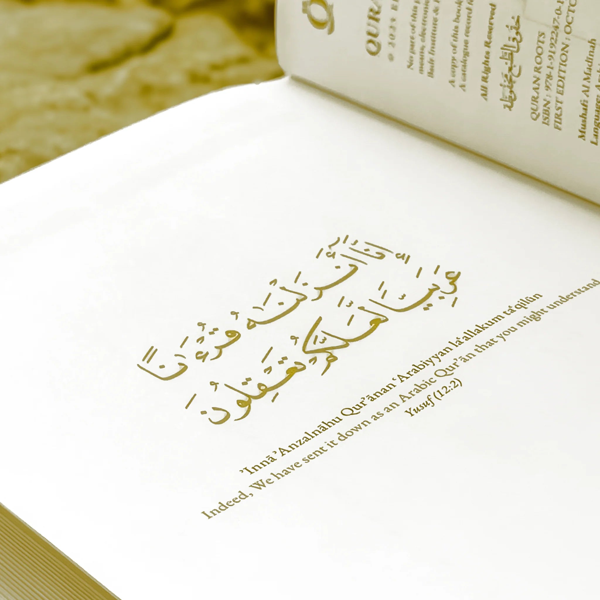 Quran Roots: Top 500 Quranic Words & Vocabulary Journal (Mastery Edition)