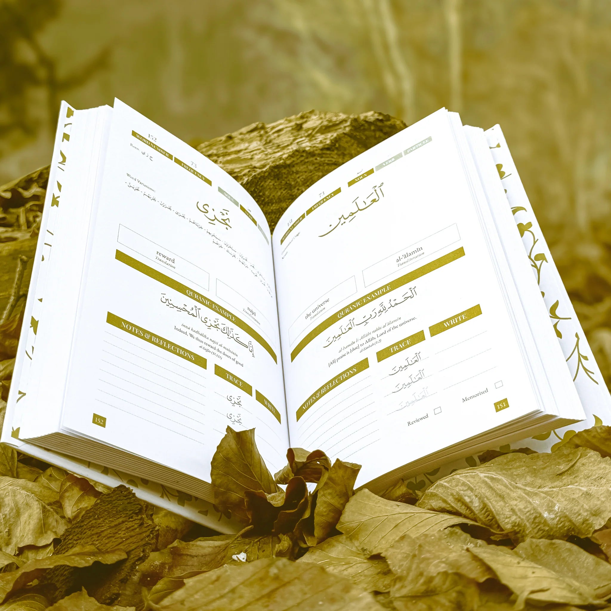 Quran Roots: Top 500 Quranic Words & Vocabulary Journal (Mastery Edition)