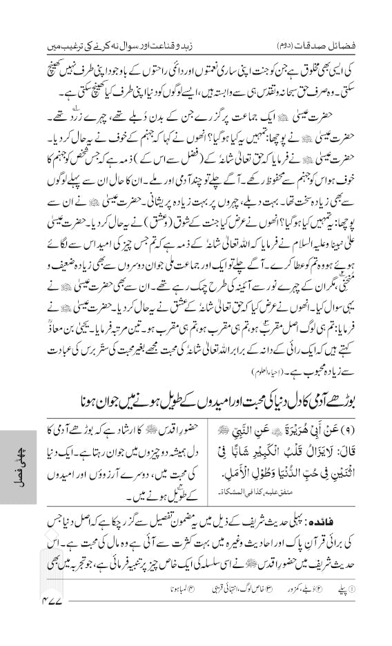 Fazail-E-Amaal Vol-2 - Fazail-E-Sadaqat and Hajj (URDU) image 3